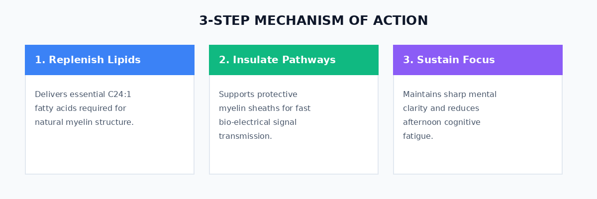 3-Step Mechanism of Action